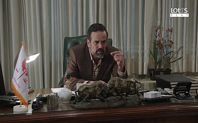 Shahgoosh - Episode 16