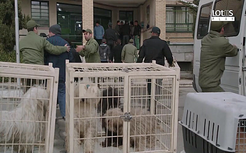 Shahgoosh - Episode 20