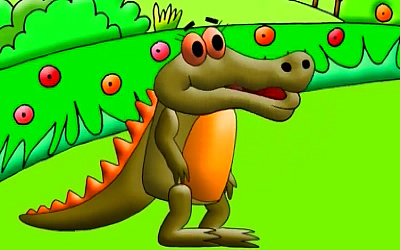 Coco, Where is Today's Story S01E25