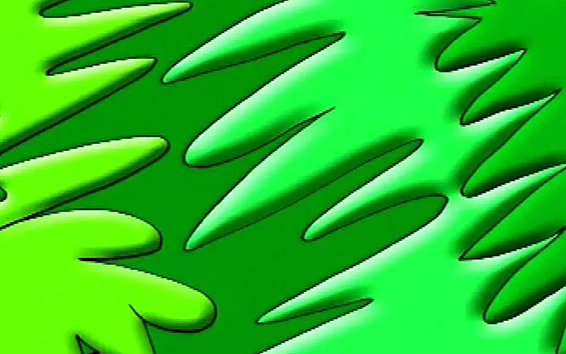 Coco, Where is Today's Story S01E31