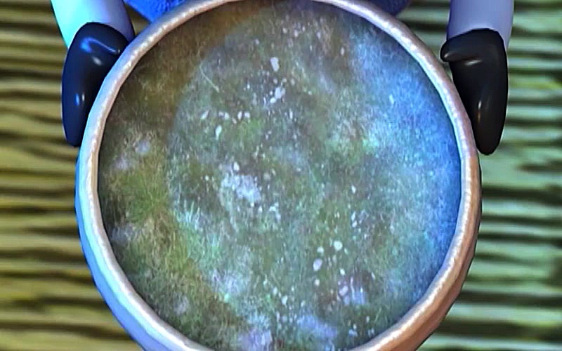 The Stories of Fox and Rooster S01E19