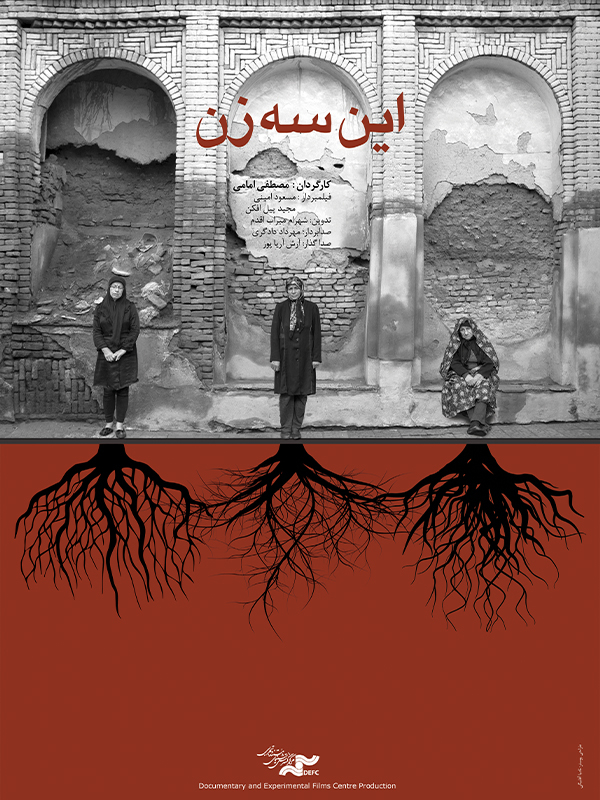 این سه زن