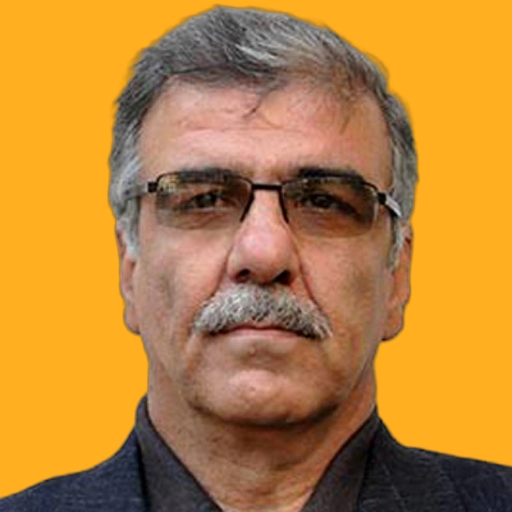 Mahmood Yar mohammadloo