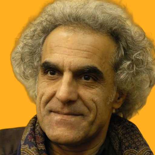 محسن حسینی - mohsen hoseini