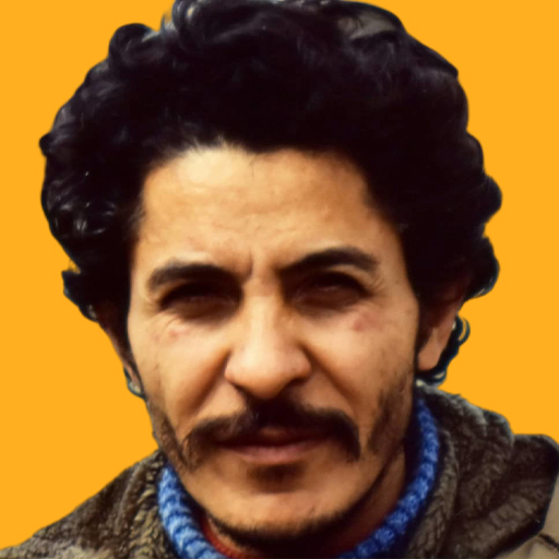 Reza Mirlohi