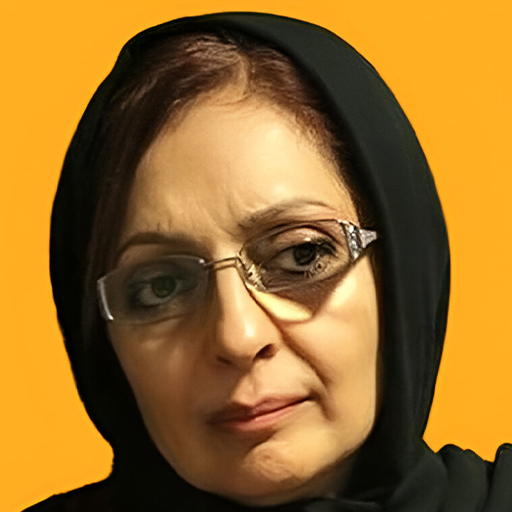 Bita Mansouri