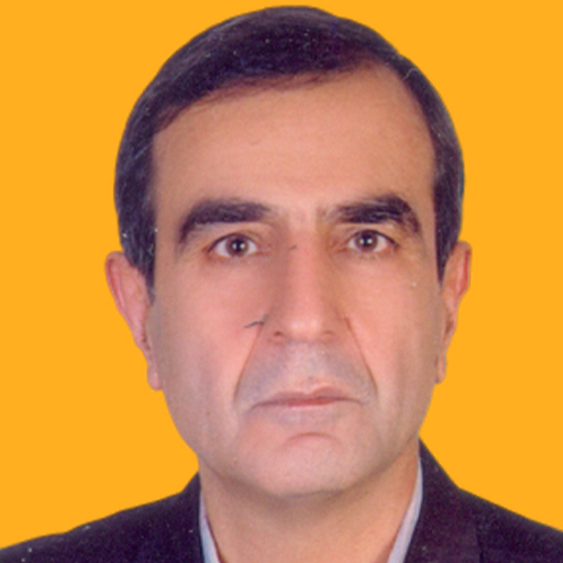 Keyvan Alizade Kiani