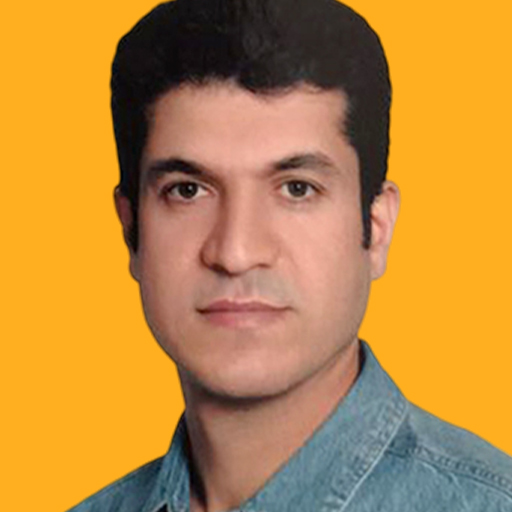 Mohamad Mohsen Alikhani