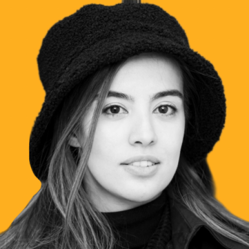 Niki Heshmati